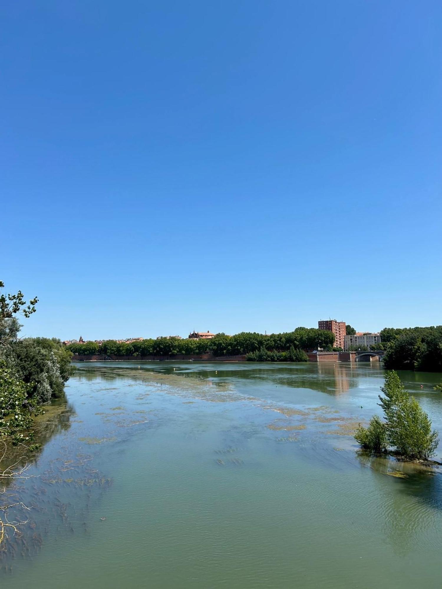 Loft Garonne - Centre Ville Immeuble Privatif Toulouse Exteriör bild