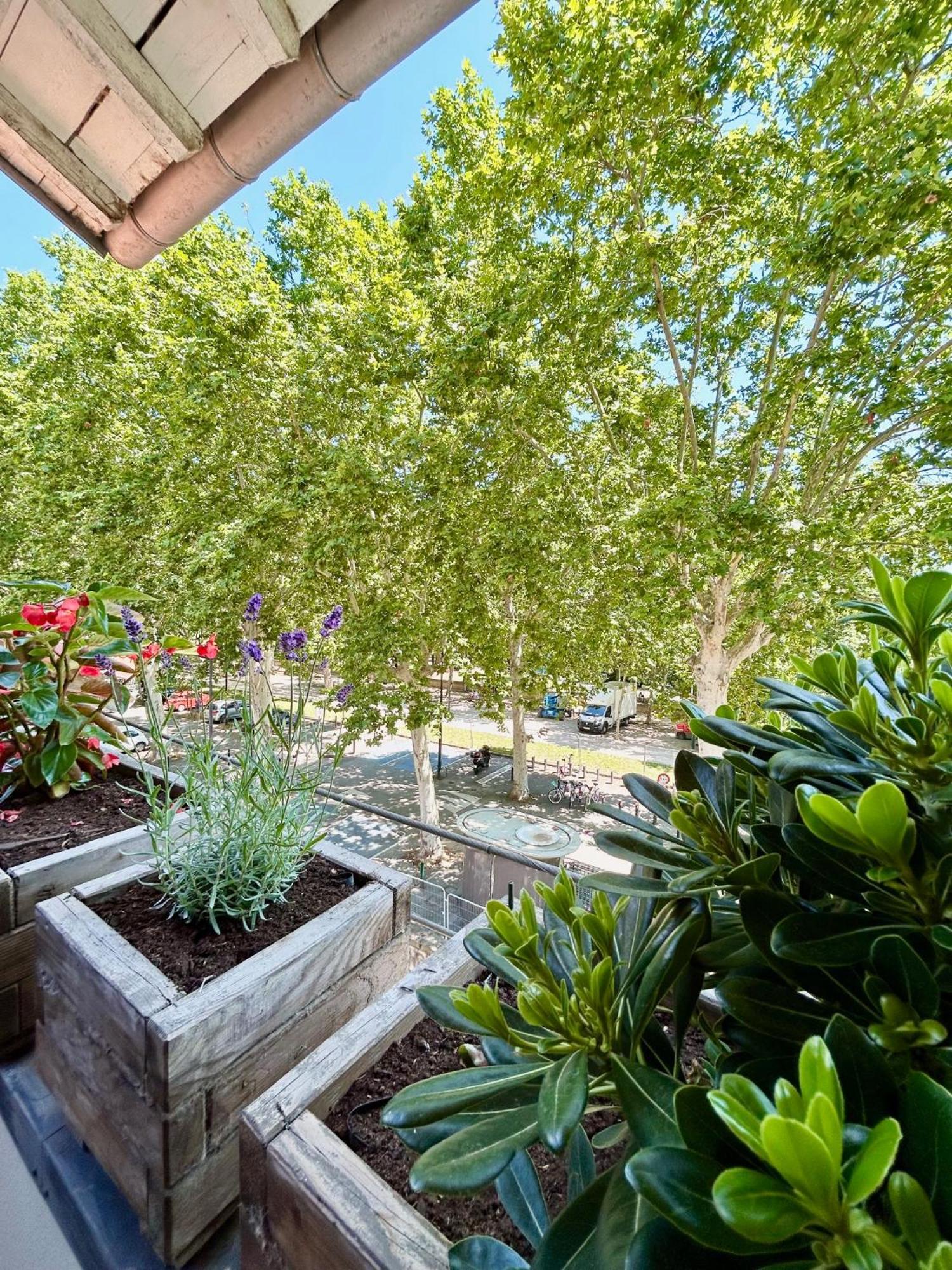 Loft Garonne - Centre Ville Immeuble Privatif Toulouse Exteriör bild