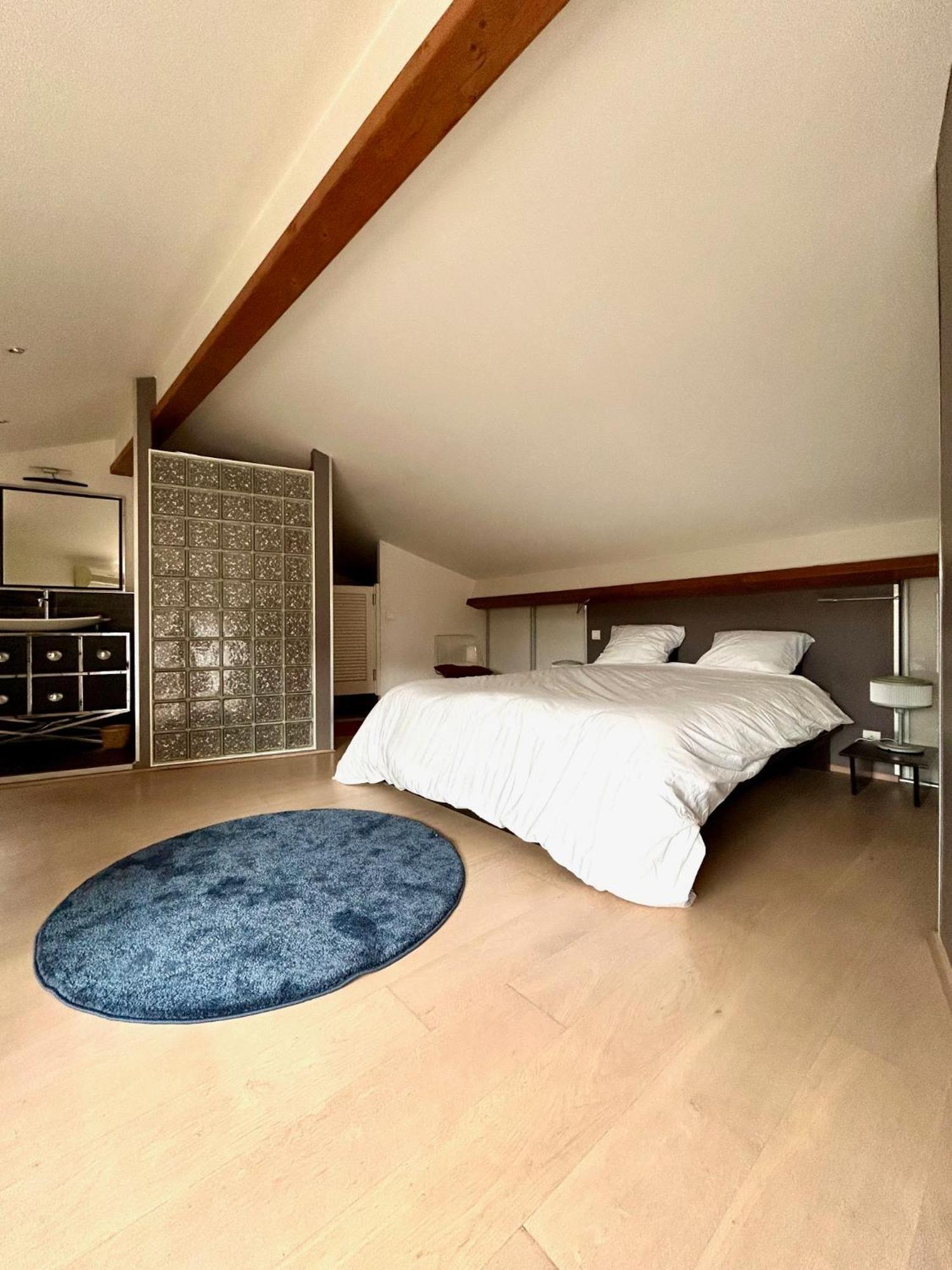 Loft Garonne - Centre Ville Immeuble Privatif Toulouse Exteriör bild