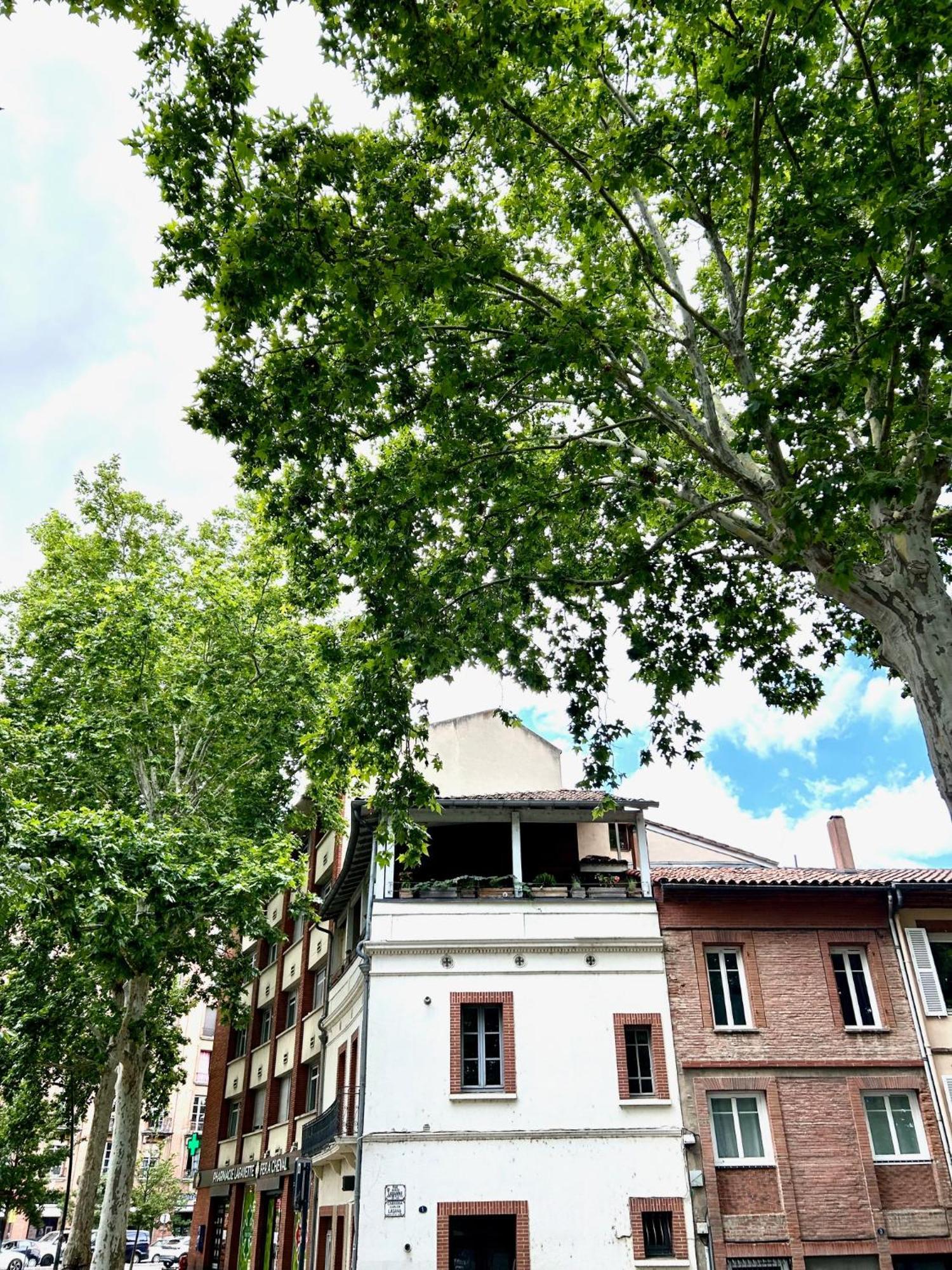 Loft Garonne - Centre Ville Immeuble Privatif Toulouse Exteriör bild